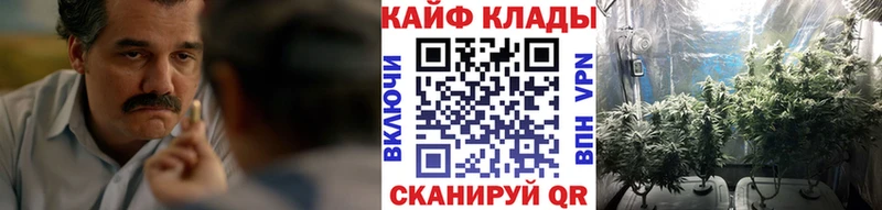 Наркошоп купить КОКАИН  АМФЕТАМИН  МДМА  МАРИХУАНА  Галлюциногенные грибы  А ПВП  Меф  Гашиш  Петров Вал