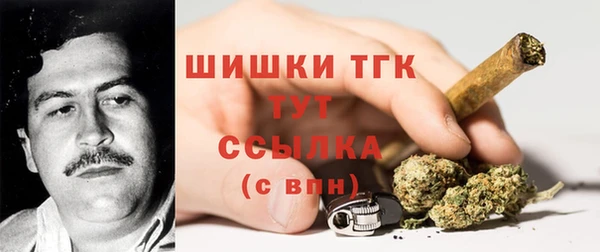 spice Гусь-Хрустальный