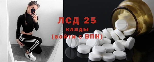 spice Гусь-Хрустальный