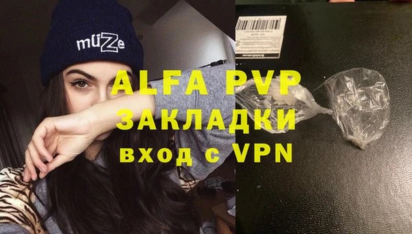 трава Гусиноозёрск