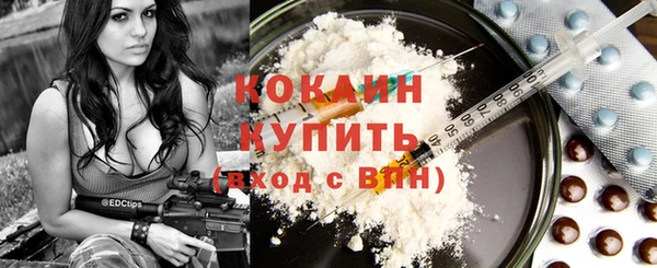 mdpv Гусев