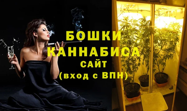 mdpv Гусев