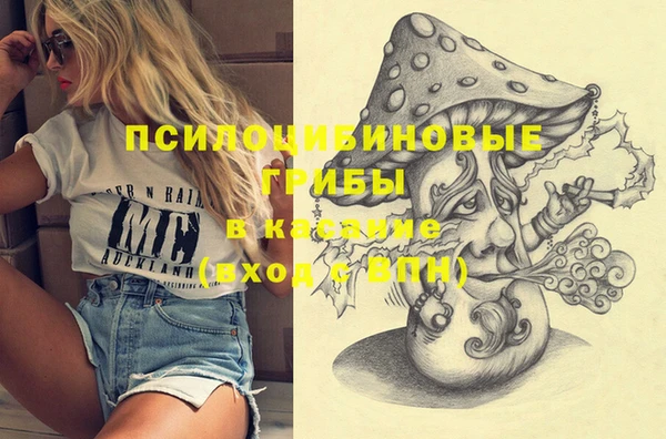трава Гусиноозёрск