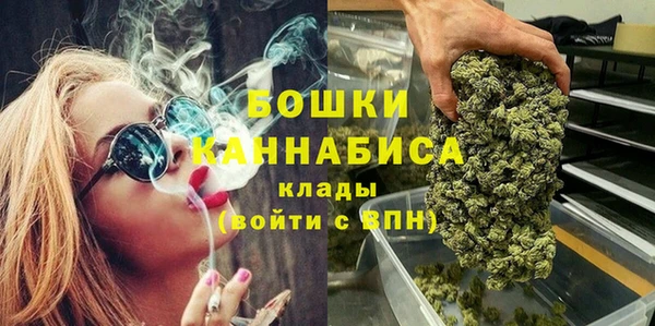 трава Гусиноозёрск