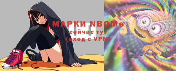 трава Гусиноозёрск