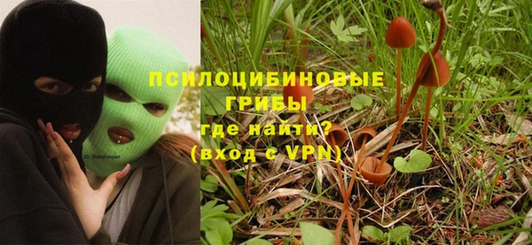 spice Гусь-Хрустальный